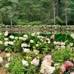 听花谷餐厅 User Photo