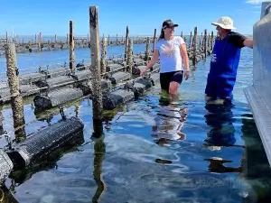 Oyster Farm Tours - Coffin Bay