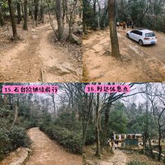 清雅茶苑(山湾里店) User Photo