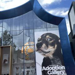 SOMEWHERE kitchen User Photo