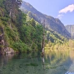 毕棚沟娜姆湖度假酒店·风味餐厅 User Photo