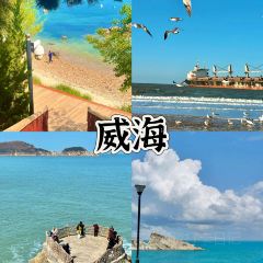 QINGNIANLU YANGROUGUAN User Photo