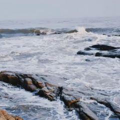 日照印象·海鲜家常菜(海曲东路店) User Photo