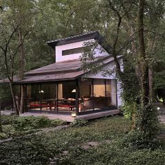 PURPLE MOUNTAIN GARDEN 여행 사진