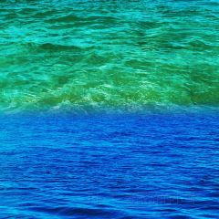 福记瘦肉丸(学院西路店) User Photo