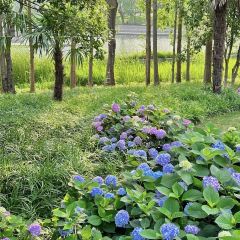 半两·咖啡书店·浮生是杯酒 User Photo