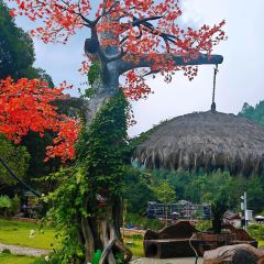 Yaojia Restaurant User Photo