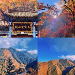 党氏卷子鸡(南关店) User Photo