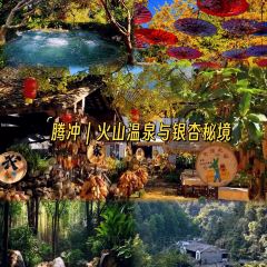 老炳·七丛松甘草水果 User Photo