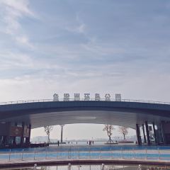 汪胖子襄阳牛肉面(华丰路店) User Photo