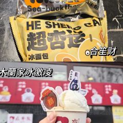 XINJIN TAO 여행 사진