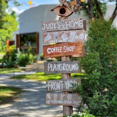 Judy's home cafe User Photo