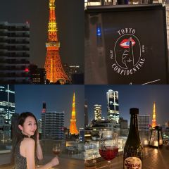 Tokyo Confidential User Photo