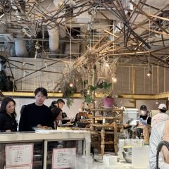 Dacomecca張用戶圖片