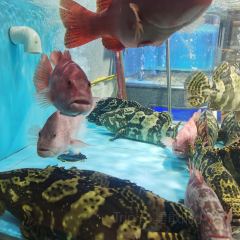 紫陽海鮮樓·福州菜（金洲南路店）張用戶圖片