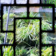 桂溪园·私房菜 User Photo