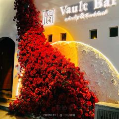 Vault Bar User Photo