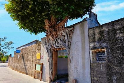 Yanjichangfen Noodles