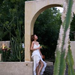 Hide&Seek User Photo