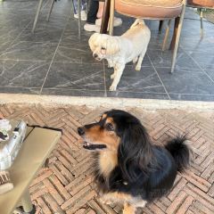 Elely Cafe’ แอลลี่ คาเฟ่張用戶圖片