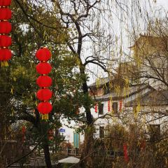 早茶街 User Photo