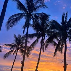 ZING Sunset Bar User Photo