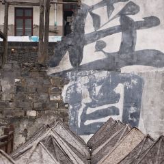 晴天见咖啡 User Photo