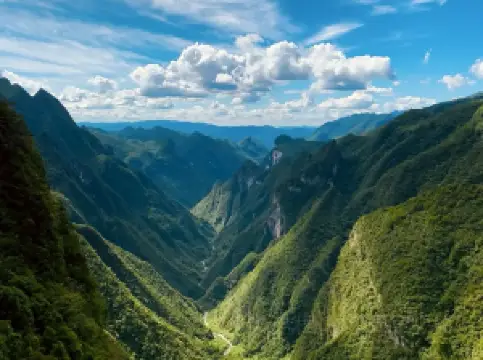 L&J·黎家凉虾·老字号