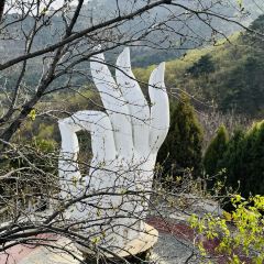 天香楼水馅包孑 User Photo