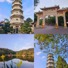 龙乡楼 User Photo