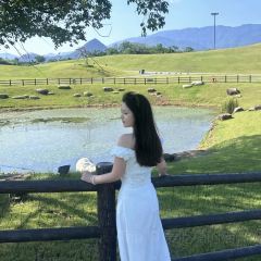 隔壁飯店張用戶圖片