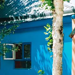 开克力瓦大盘鸡(伊犁街店) User Photo