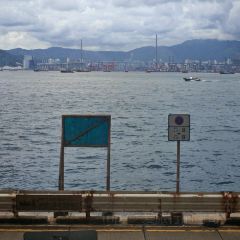 % Arabica User Photo