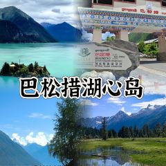 鲁朗石锅城·松茸天麻石锅鸡 User Photo