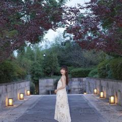 SEN Cuisine User Photo