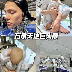 老顾客煲仔饭(蛇口店) User Photo