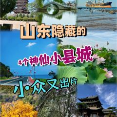 咱妈家·海菜包子(长峰店) User Photo