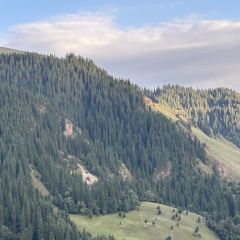 草原羊羔肉 User Photo