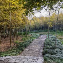 小三毛流浪处明清酒家(南北湖风景区店) User Photo