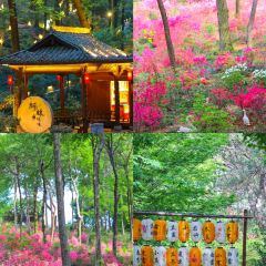 Old Kitchen User Photo