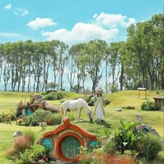 铁锅年代(天台店) 여행 사진