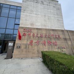 ZHENG XI WANG User Photo