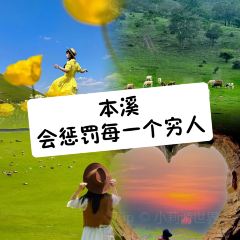 Number One User Photo