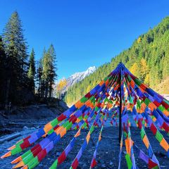 遇见音乐餐吧 User Photo