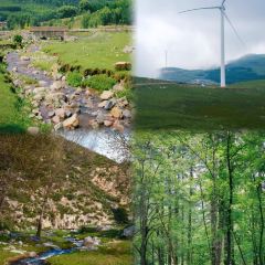 清和元(五龙口街店) User Photo