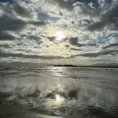 古蒸燕（三坊七巷店）張用戶圖片