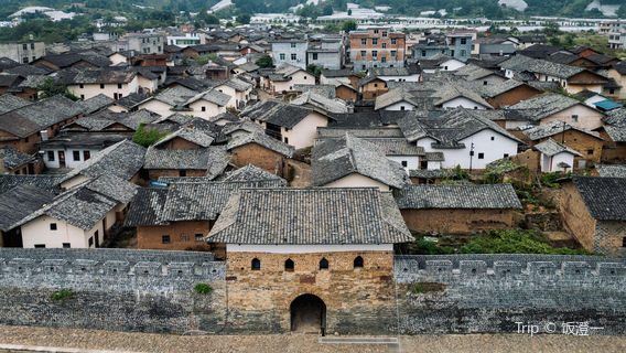 yang jiao shui bao