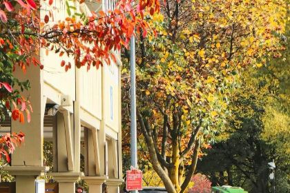 Arrowtown Bakery & Cafe