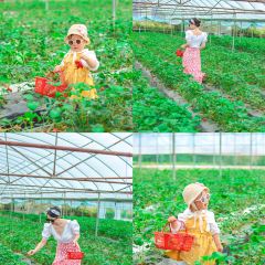 DONG PO SHAN ZHUANG TIAN YUAN SHENG TAI HUO GUO User Photo