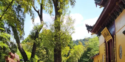 南山禪寺